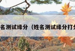 姓名测试缘分（姓名测试缘分打分）