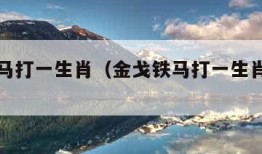 金戈铁马打一生肖（金戈铁马打一生肖打什么肖）