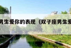 双子座男生爱你的表现（双子座男生爱一个人的表现）