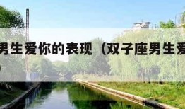 双子座男生爱你的表现（双子座男生爱一个人的表现）