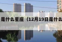 12月是什么星座（12月19日是什么星座）