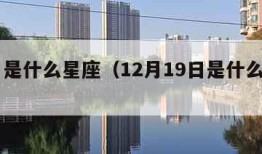 12月是什么星座（12月19日是什么星座）