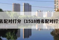 姓名配对打分（1518姓名配对打分）