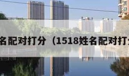 姓名配对打分（1518姓名配对打分）