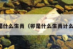 卯是什么生肖（卯是什么生肖计么数）