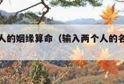 算两个人的姻缘算命（输入两个人的名字测姻缘）