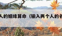算两个人的姻缘算命（输入两个人的名字测姻缘）