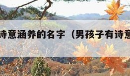 男孩有诗意涵养的名字（男孩子有诗意一点的名字）