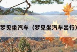 梦见坐汽车（梦见坐汽车出行）