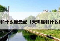 白羊座和什么座最配（天蝎座和什么座最配）