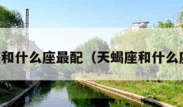 白羊座和什么座最配（天蝎座和什么座最配）