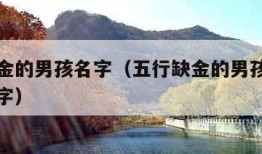 五行缺金的男孩名字（五行缺金的男孩名字寓意好的字）