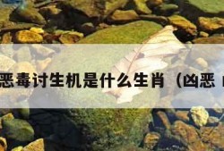 凶猛恶毒讨生机是什么生肖（凶恶 凶猛）