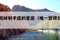 唯一能毁掉射手座的星座（唯一管得住射手座的星座）