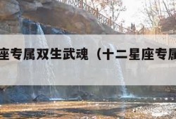 十二星座专属双生武魂（十二星座专属魂兽双子座）
