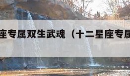 十二星座专属双生武魂（十二星座专属魂兽双子座）