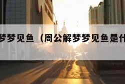 周公解梦梦见鱼（周公解梦梦见鱼是什么预兆 女性）