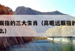高瞻远瞩指的三大生肖（高瞻远瞩指的三大生肖是什么）