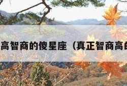 隐藏超高智商的傻星座（真正智商高的星座）