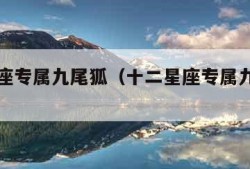 十二星座专属九尾狐（十二星座专属九尾狐少女）
