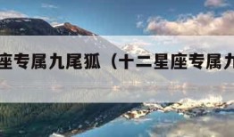 十二星座专属九尾狐（十二星座专属九尾狐少女）