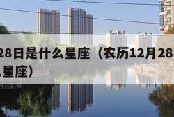 2月28日是什么星座（农历12月28日是什么星座）