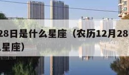 2月28日是什么星座（农历12月28日是什么星座）