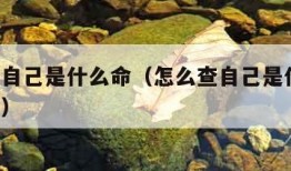 免费查自己是什么命（怎么查自己是什么命,和注解）