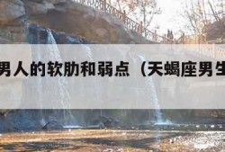 天蝎座男人的软肋和弱点（天蝎座男生最大的弱点）
