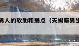 天蝎座男人的软肋和弱点（天蝎座男生最大的弱点）
