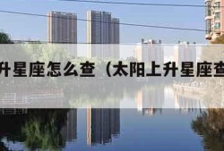 太阳上升星座怎么查（太阳上升星座查询免费）