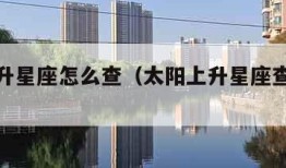 太阳上升星座怎么查（太阳上升星座查询免费）