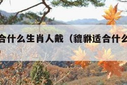 貔貅适合什么生肖人戴（貔貅适合什么生肖人戴手链）