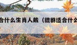 貔貅适合什么生肖人戴（貔貅适合什么生肖人戴手链）