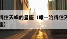 唯一治得住天蝎的星座（唯一治得住天蝎的星座处女座）