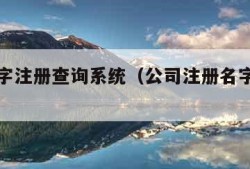 公司名字注册查询系统（公司注册名字查询网app）