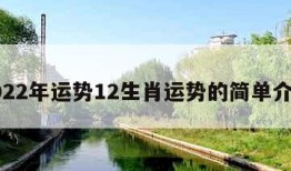 2022年运势12生肖运势的简单介绍