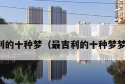 最吉利的十种梦（最吉利的十种梦梦见蛇）