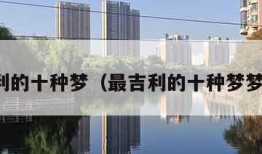 最吉利的十种梦（最吉利的十种梦梦见蛇）