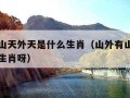 山外有山天外天是什么生肖（山外有山天外天是什么生肖呀）