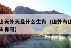 山外有山天外天是什么生肖（山外有山天外天是什么生肖呀）