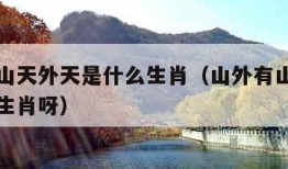 山外有山天外天是什么生肖（山外有山天外天是什么生肖呀）