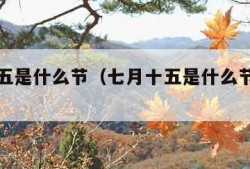 七月十五是什么节（七月十五是什么节日和风俗呢）