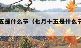 七月十五是什么节（七月十五是什么节日和风俗呢）