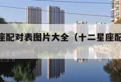 12星座配对表图片大全（十二星座配对图 指数）