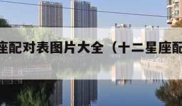 12星座配对表图片大全（十二星座配对图 指数）