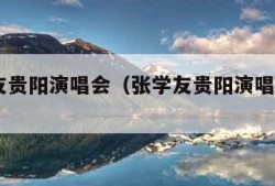 张学友贵阳演唱会（张学友贵阳演唱会2018）