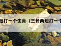 三长两短打一个生肖（三长两短打一个生肖老虎）