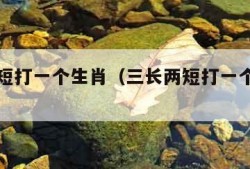 三长两短打一个生肖（三长两短打一个生肖老虎）