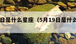 5月1日是什么星座（5月19日是什么星座）